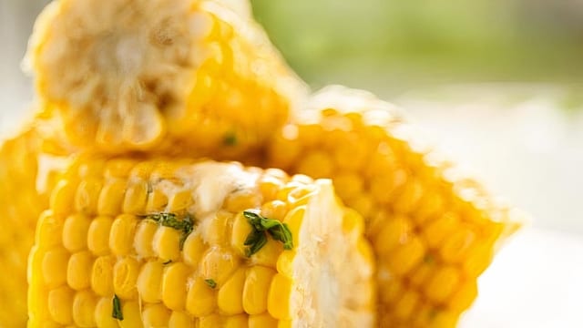 Boiled Corn.