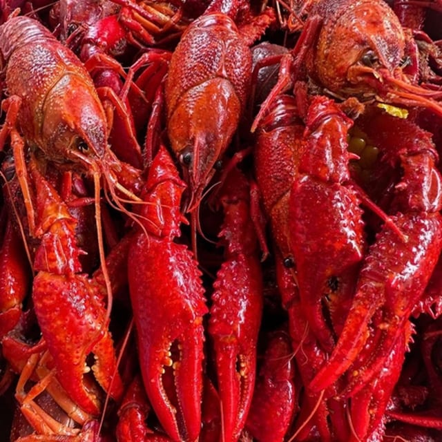 3lb crawfish.